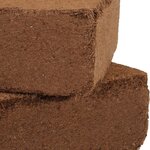 vidaXL Blocs de noix de coco 2 Pièces 5 kg chacun 10 kg au total