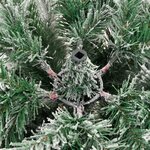 vidaXL Sapin de Noël artificiel à charnières avec neige floquée 150 cm