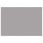 vidaXL Toile de rechange pour auvent Gris clair 300 x 250 cm Polyester