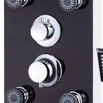 vidaXL Panneau de douche Verre 25 x 44 6 x 130 cm Noir