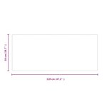 vidaXL Plaque en verre de cheminée Transparent 120 x 50 cm Verre