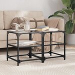 vidaXL Tables basses avec dessus en verre transparent 2 Pièces acier