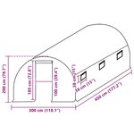vidaXL Couverture de remplacement de serre (13 5m²) 300x450x200cm Vert