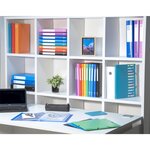 EXACOMPTA Classeur 4 anneaux A4 Maxi Polypropylene Opaque Vert