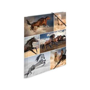 Chemise à élastiques 'animaux d'afrique', en carton HERMA