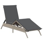 vidaXL Chaises longues avec coussins lot de 2 gris résine tressée