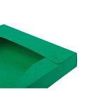 Boite De Classement Cartobox Dos 40mm Carte Lustrée - A4 - Vert - X 10 - Exacompta