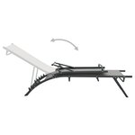 vidaXL Chaises longues lot de 2 Textilène et acier