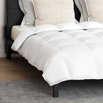 vidaXL Ensemble de Duvet avec oreiller 3 Pièces Blanc Plume de canard