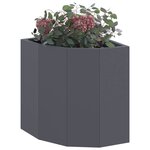 vidaXL Jardinière d'Angle Anthracite 30 x 30 x 35 cm Acier