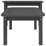 vidaXL Ensemble de tables basses 2 Pièces Gris Bois massif de pin