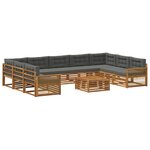 vidaXL Ensemble de canapés d'extérieur 10 pc Naturel et Anthracite