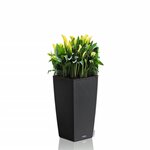 LECHUZA Jardinière CUBICO Cottage 30 ALL-IN-ONE Granite