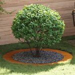 vidaXL Jardinière en Acier Corten Acier corten Grand Jardinières