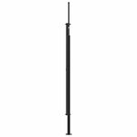vidaXL Auvent latéral rétractable noir 200x300 cm