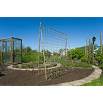 Nature Filet pour plantes grimpantes en jute 1 8x5 m naturel