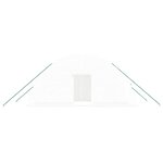 vidaXL Serre avec cadre en acier blanc 12 m² 6x2x2 85 m