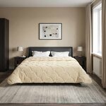 vidaXL Duvet d'hiver Crème 200 x 200 cm Microfibre et polaire Teddy