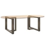 vidaXL Pieds de table basse en T  2 pièces  noir  60 x 25 x (42-43) cm  acier