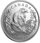 Pièce de monnaie en Argent 1 Dollar g 23.17 Millésime 2025 BEAVER