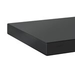 vidaXL Étagères murales 2 Pièces 100x23 5x3 cm noir acier inoxydable