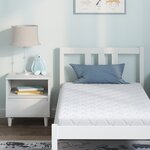 vidaXL Matelas Blanc 160 x 80 cm Mousse