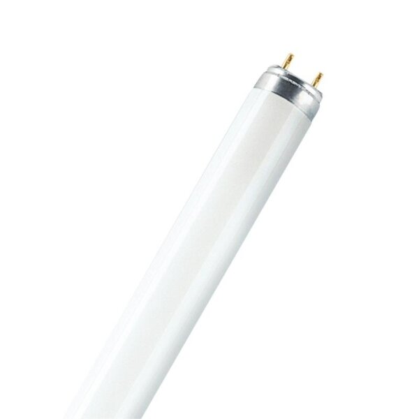 Tube fluorescent 26 mm Lumilux T8 G13 58W 3000°K 1500 mm
