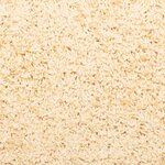 vidaXL Tapis d'escalier 10 pièces 65 x 21 x 4 cm Crème Bord rectangulaire