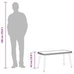 vidaXL Table basse Noir 90 x 45 x 43 cm Poly Rattan et verre
