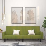 vidaXL Canapé-lit à 2 places vert clair velours