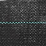 vidaXL Membrane anti-mauvaises herbes noir 2x200 m PP