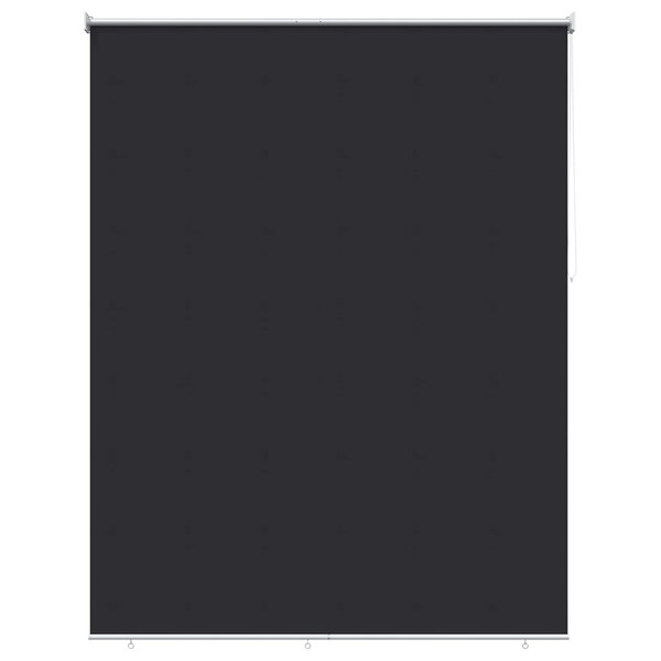 vidaXL Store roulant extérieur protection UV Anthracite Polyester