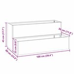vidaXL Cache-pot de jardin Rouillé 100 x 60 x 45 cm Acier patiné