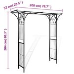 vidaXL Arche de jardin 200x52x204 cm
