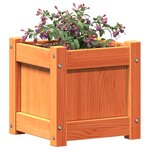 vidaXL Jardinière cire marron 31x31x31 cm bois de pin massif