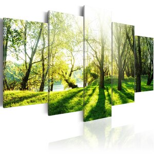 Tableau - green glade l x h en cm 100x50