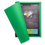 Paquet de 10 chemises ROCK'S 220 Vert sapin EXACOMPTA