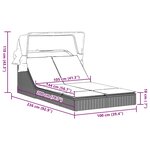 vidaXL Chaise longue double avec auvent et coussins gris clair rotin