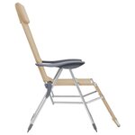 vidaXL Chaises de camping pliantes et repose-pied lot de 2 textilène