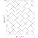 vidaXL Duvet d'hiver Gris clair 220 x 200 cm Microfibre