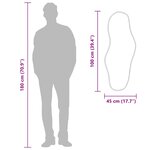 vidaXL Miroir mural Doré 100x45 cm