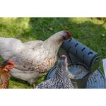 Beeztees Tour de jeu et à nourriture pour poulets 30x30x30 cm Gris