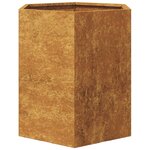 vidaXL Jardinières 2 Pièces hexagone 46x40x45 cm acier patinable