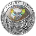 Pièce de monnaie en Argent 20 Dollars g 31.39 Millésime 2025 RAVEN