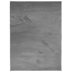 vidaXL Tapis OVIEDO à poils courts anthracite 240x340 cm