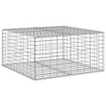 vidaXL Panier gabion avec couvercle 100x100x50 cm fer galvanisé