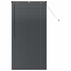 vidaXL Stores vénitiens Noir 175 x 95 cm Aluminium