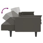 vidaXL Canapé-lit à 2 places avec deux oreillers Gris foncé Velours