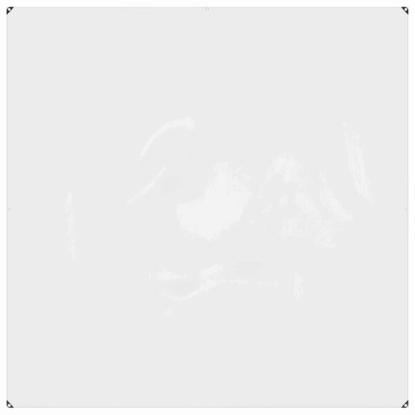 vidaXL Couverture pour plantes Transparent 2 x 2 m PVC