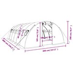 vidaXL Serre avec cadre en acier blanc 24 m² 6x4x2 m